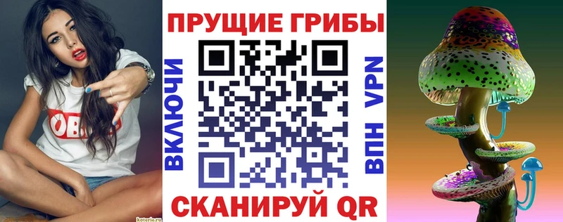 Галлюциногенные грибы Magic Shrooms  как найти наркотики  Новосокольники 